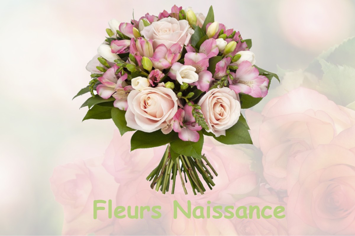 fleurs naissance LE-HOUSSEAU-BRETIGNOLLES