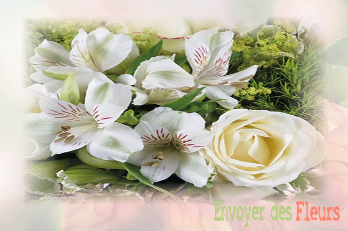 envoyer des fleurs à à LE-HOUSSEAU-BRETIGNOLLES
